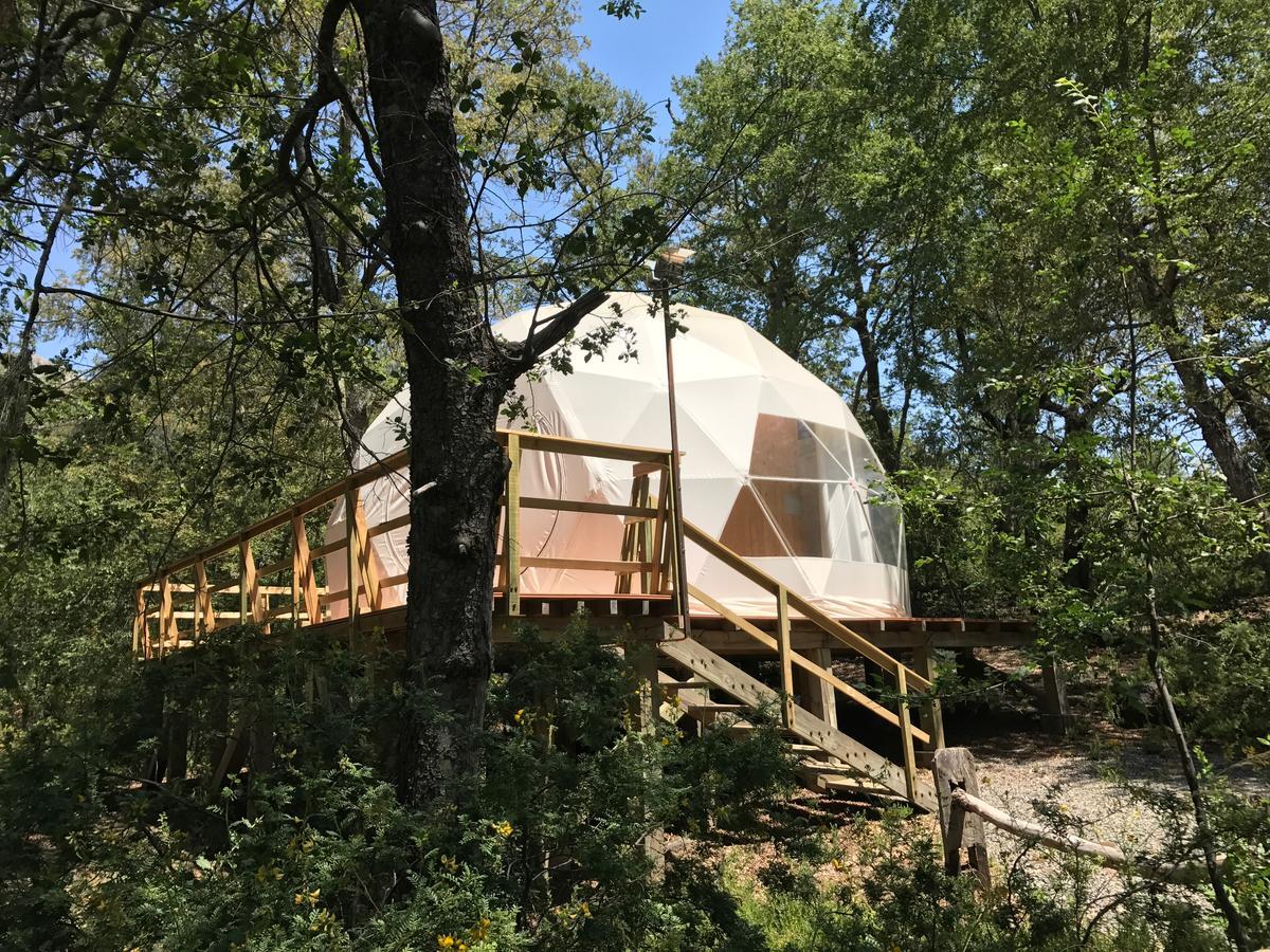 Glamping Domos Treepod Hotel Las Trancas Ngoại thất bức ảnh